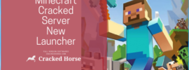 Minecraft Cracked Server detail image