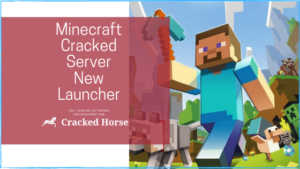 Minecraft Cracked Server detail image