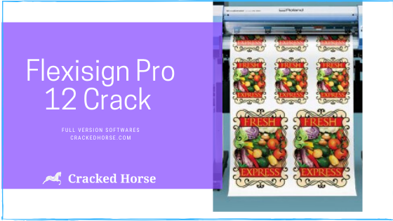 Flexisign Pro 22 Crack