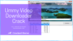 Ummy Video Downloader crack - serial key